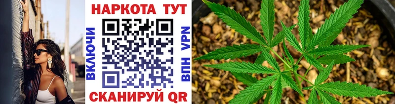 Где купить Стародуб НБОМе A PVP Гашиш Бошки Шишки