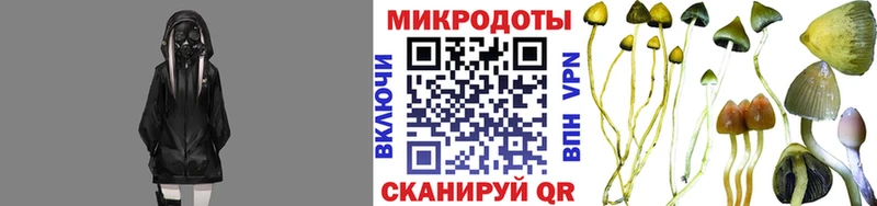 Псилоцибиновые грибы прущие грибы  дарк нет Telegram  Стародуб  купить закладку 