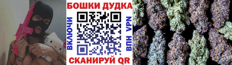 купить наркотики цена  Стародуб  hydra ONION  МАРИХУАНА Ganja 
